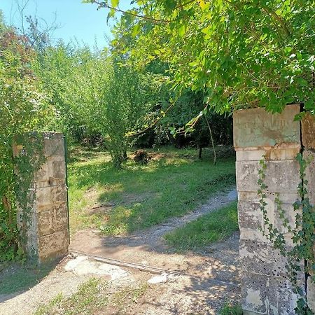 Вілла La Colline Aux Oiseaux, La Tranquillite Des Bois Molieres-sur-Ceze Екстер'єр фото