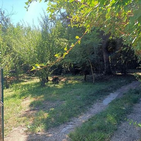 Вілла La Colline Aux Oiseaux, La Tranquillite Des Bois Molieres-sur-Ceze Екстер'єр фото