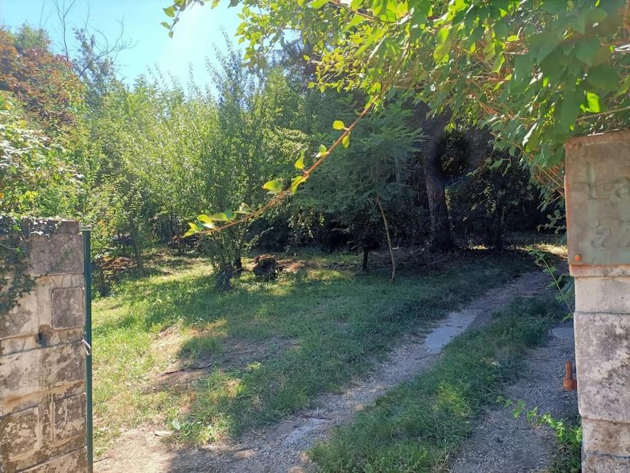 Вілла La Colline Aux Oiseaux, La Tranquillite Des Bois Molieres-sur-Ceze Екстер'єр фото