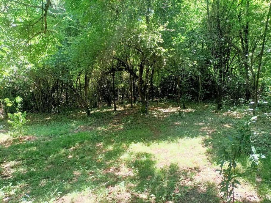 Вілла La Colline Aux Oiseaux, La Tranquillite Des Bois Molieres-sur-Ceze Екстер'єр фото